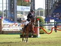 IMG_7271 Henrik von Eckermann u. Cantinero (EM Aachen 2015)