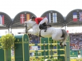 IMG_7502 Laslo Toth u. Isti (EM Aachen 2015)