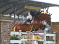 IMG_8031 Andreas Schou u. Lenardo der Kleine (EM Aachen 2015)