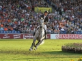 IMG_8038 Sergio Alvarez Moya u. Carlo 273 (EM Aachen 2015)