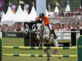 IMG_9732 Jur Vrieling u. VDL Zirocco Blue N.O.P. (EM Aachen 2015)