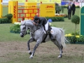 IMG_9804 Sergio Alvarez Moya u. Carlo 273 (EM Aachen 2015)