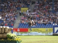 IMG_6737 Cassio Rivetti u. Vivant (EM Aachen 2015)