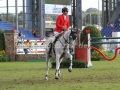 IMG_7111 Lorenzo de Luca u. Geisha van Orshof (EM Aachen 2015)