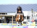 IMG_2931-Miriam-Schneider-u.-Fidelius-G-Fehmarn-2019