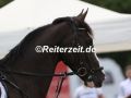 041A1837-Chevron-v.-Ina-Reimers-Fehmarn-2021