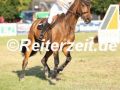 EF3A0576-Gabriele-Heemsoth-u.-Happinez-Fehmarn-2024