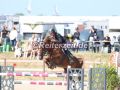 EF3A9523Hans-Thorben-Rueder-u.-Nupafeed´s-Romeo´s-Girl-Fehmarn-2025