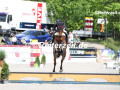 041A0102-Marie-Ligges-u.-Corcovado-L-Gross-Viegeln-2022
