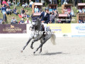 041A0126-Harry-Allen-u.-Crossbar-Melloni-Gross-Viegeln-2022