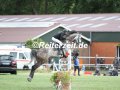 IMG_4268-Ilkay-Kalay-u.-Happys-Clavel-Hanerau-Hademarschen-2019