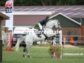IMG_4364-Jacobo-Fernandez-Perez-u.-Chico-873-Hanerau-Hademarschen-2019