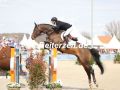EF3A6014-Takashi-Haase-Shibayama-u.-Campai-3-Horses-and-Dreams-2023