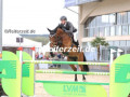 EF3A8820-Tim-Rieskamp-Goedeking-u.-Pepina-G-Hagen-2024