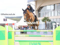 EF3A8887-Sophie-Hinners-u.-Touch-of-Diamond-Hagen-2024