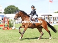 IMG_5481 Ellen Krezl u. Diquido (Hanerau-Hademarschen 2017)