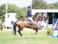 IMG_5686 Johanna Weber u. Lexion 6 (Hanerau-Hademarschen 2017)