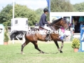 IMG_5707 Rene Dittmer u. Calimero 573 (Hanerau-Hademarschen 2017)