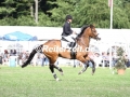 IMG_5947 Anne Benkert u. L´Amie 14 (Hanerau-Hademarschen 2017)