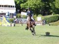 EF3A3007-Steve-Guerdat-u.-Lancelotta-Hamburg-2024