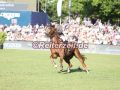 EF3A3133-Sandra-Auffarth-u.-Quirici-H-Hamburg-2024