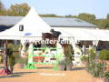 EF3A9034-Pheline-Ahlmann-u.-Carlton-SR-Havekost-2024