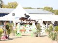 EF3A9035-Pheline-Ahlmann-u.-Carlton-SR-Havekost-2024