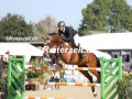 EF3A8433-Fritz-Brunk-u.-F-Casalita-Havekost-2024