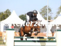 EF3A8439-Fritz-Brunk-u.-F-Casalita-Havekost-2024