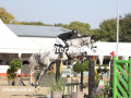 EF3A8498-Lennard-Thomsen-u.-Blomster-Havekost-2024