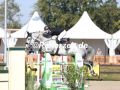 EF3A8501-Lennard-Thomsen-u.-Blomster-Havekost-2024