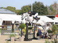 EF3A8599-Lennard-Thomsen-u.-Blomster-Havekost-2024