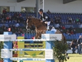 IMG_1488 Scott Brash u. Hello Forever (Hamburg 2015)