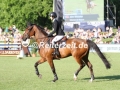 IMG_9306 Emma Heise u. Quentucky Jolly (Hamburg 2017)