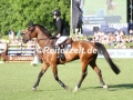 IMG_9307 Emma Heise u. Quentucky Jolly (Hamburg 2017)