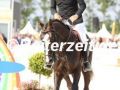EF3A2610-Jeroen-Dubbeldam-u.-Investment-Hohen-Wieschendorf-2023