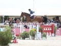 EF3A7644-Finja-Bormann-u.-Lafocolo-crazy-stud-Hohen-Wieschendorf-2024