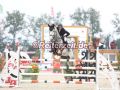 EF3A6488-Paula-De-Boer-Schwarz-u.-Cornet´s-Oreo-S-Hohen-Wieschendorf-2024