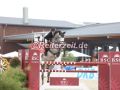 EF3A6539-Ellen-Koelz-u.-Cashgirl-Hohen-Wieschendorf-2024