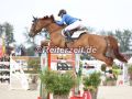 EF3A6771-Angelique-Ruesen-u.-Eclaire-Z-2-Hohen-Wieschendorf-2024