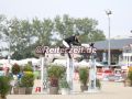 EF3A6899-Tim-Rieskamp-Goedeking-u.-IB-Easy-Hohen-Wieschendorf-2024