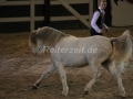 IMG_1044 Kerstin Brein u. ihre 5 kleine Ponys - Freiheitsdressur (Holsteiner Gala Abend 2014)