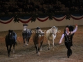 IMG_1070 Kerstin Brein u. ihre 5 kleinen Ponys - Freiheitsdressur (Holsteiner Gala Abend 2014)