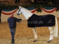 IMG_1108 Corrado - 29 Jahre alt (Holsteiner Gala Abend 2014)