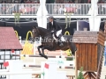 IMG_9730 Evi Bengtsson u. La Pasion de Caballo Ulika (Muenster 2016)