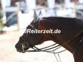 EF3A6735-Philip-Ruepings-Casallco-Muenster-2024