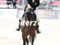 EF3A6426-Richard-Vogel-u.-Diamant-de-Casall-Muenster-2024