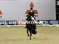 IMG_0244 Jessica von Bredow-Werndl u. Unee BB (Oldenburg 2017)