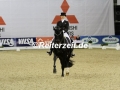 IMG_0245 Jessica von Bredow-Werndl u. Unee BB (Oldenburg 2017)