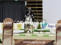 IMG_1491 Felix Haßmann u. Horse Gym´s Landino (Oldenburg 2017)